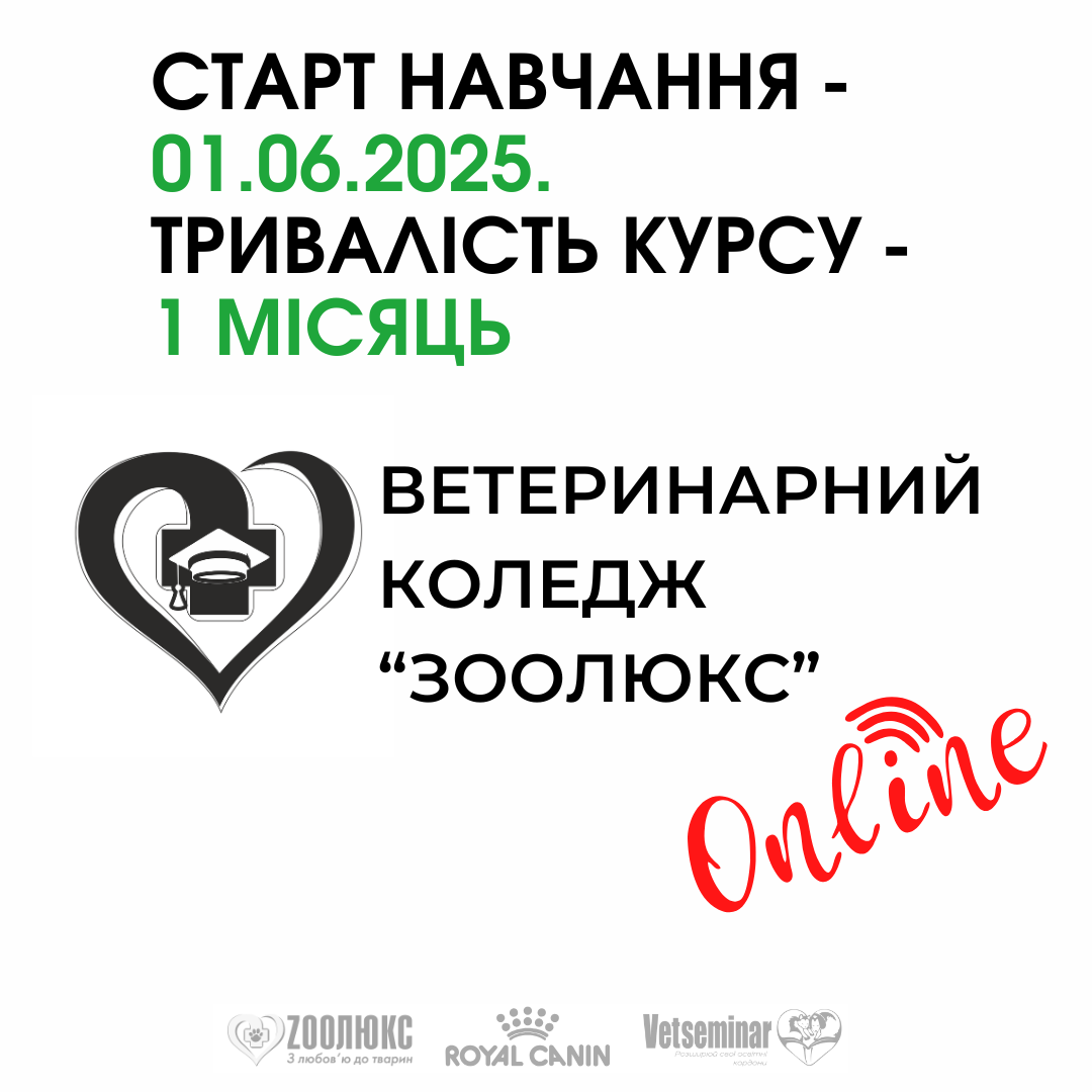 Мастер класс, копия (81)