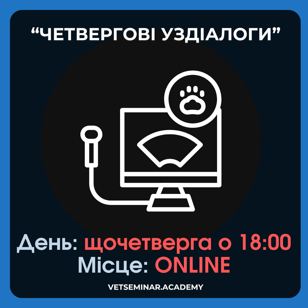 Мастер класс, копия (82)