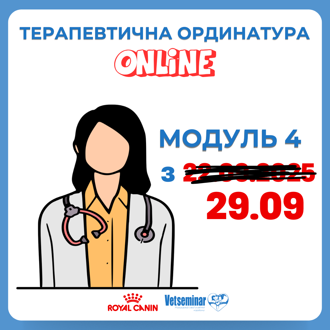 Мастер класс, копия - 2025-09-19T123310.529