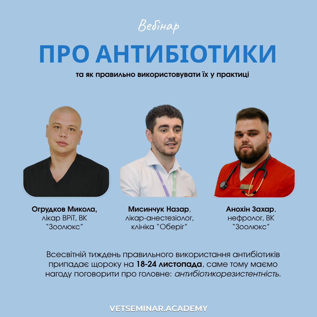 Мастер класс, копия - 2025-10-23T131009.167