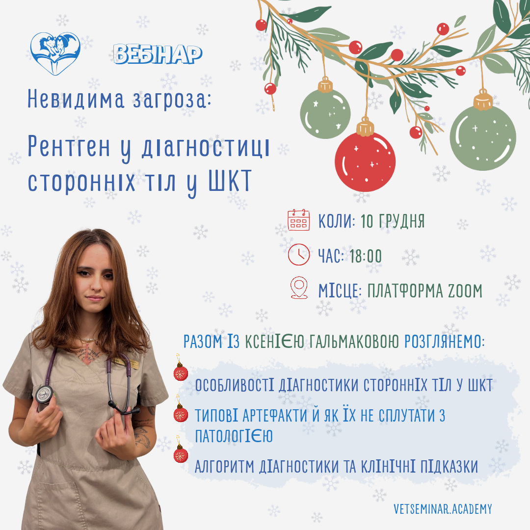 Мастер класс, копия_20251127_220411_0000