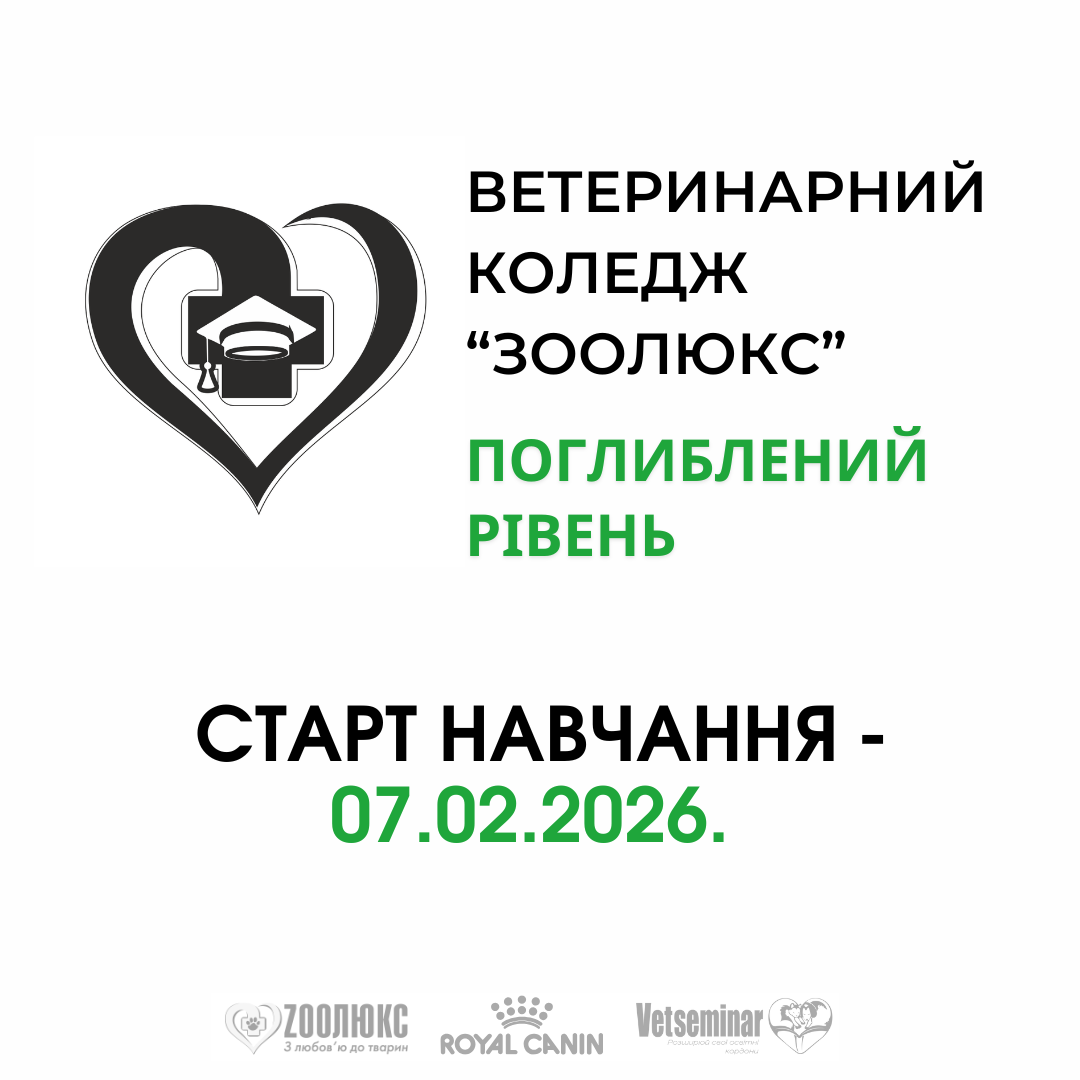 Мастер класс, копия - 2026-01-19T145904.716